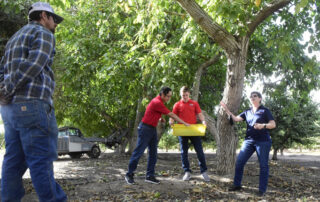 Fresno State ag faculty under a walnut tree.