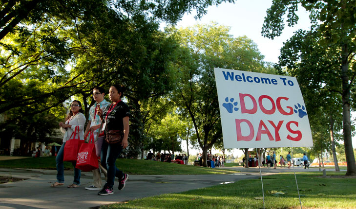 Students walking past dog days sign