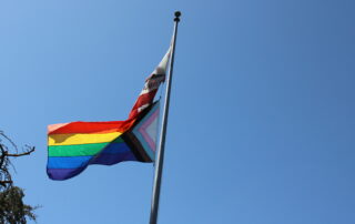 pride flag