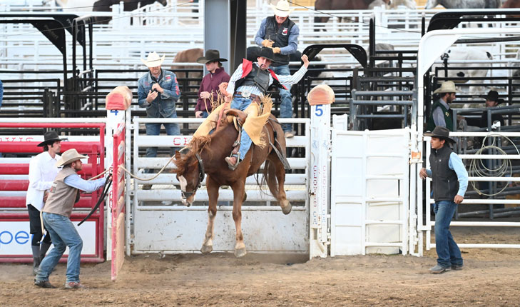 Man on horse at rodeo