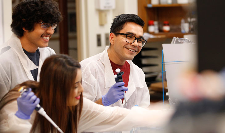 Students in the lab