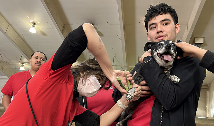 Fresno state students with dog