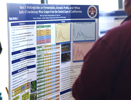 Research Week celebrates scholarly exploration, collaboration