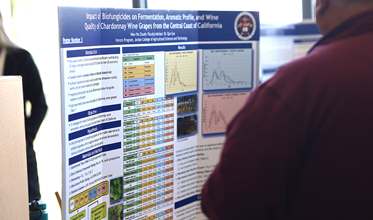 Photo of a research poster.