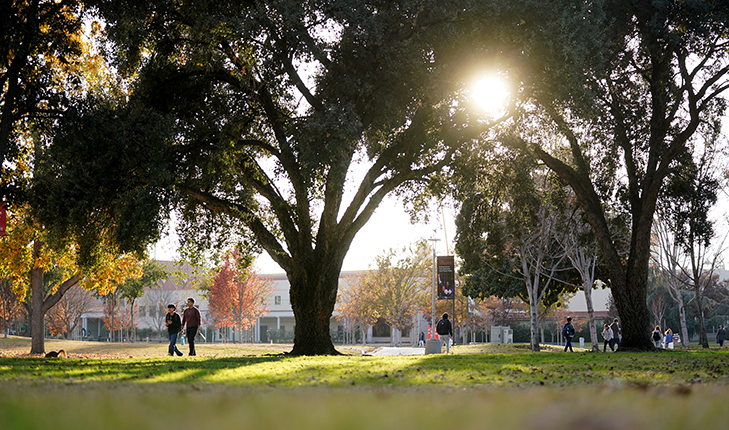 Fresno State landcape