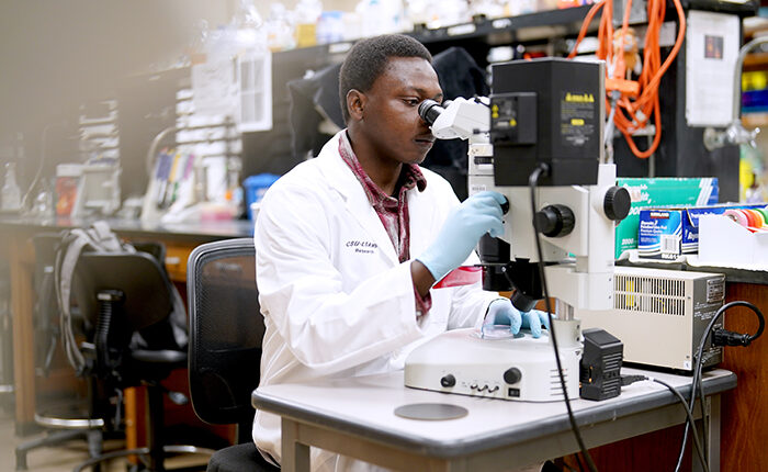 Graduate student Ayuba Abaka works in a lab at Fresno State.