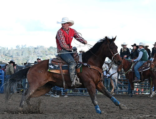 Fresno State points toward national college rodeo return
